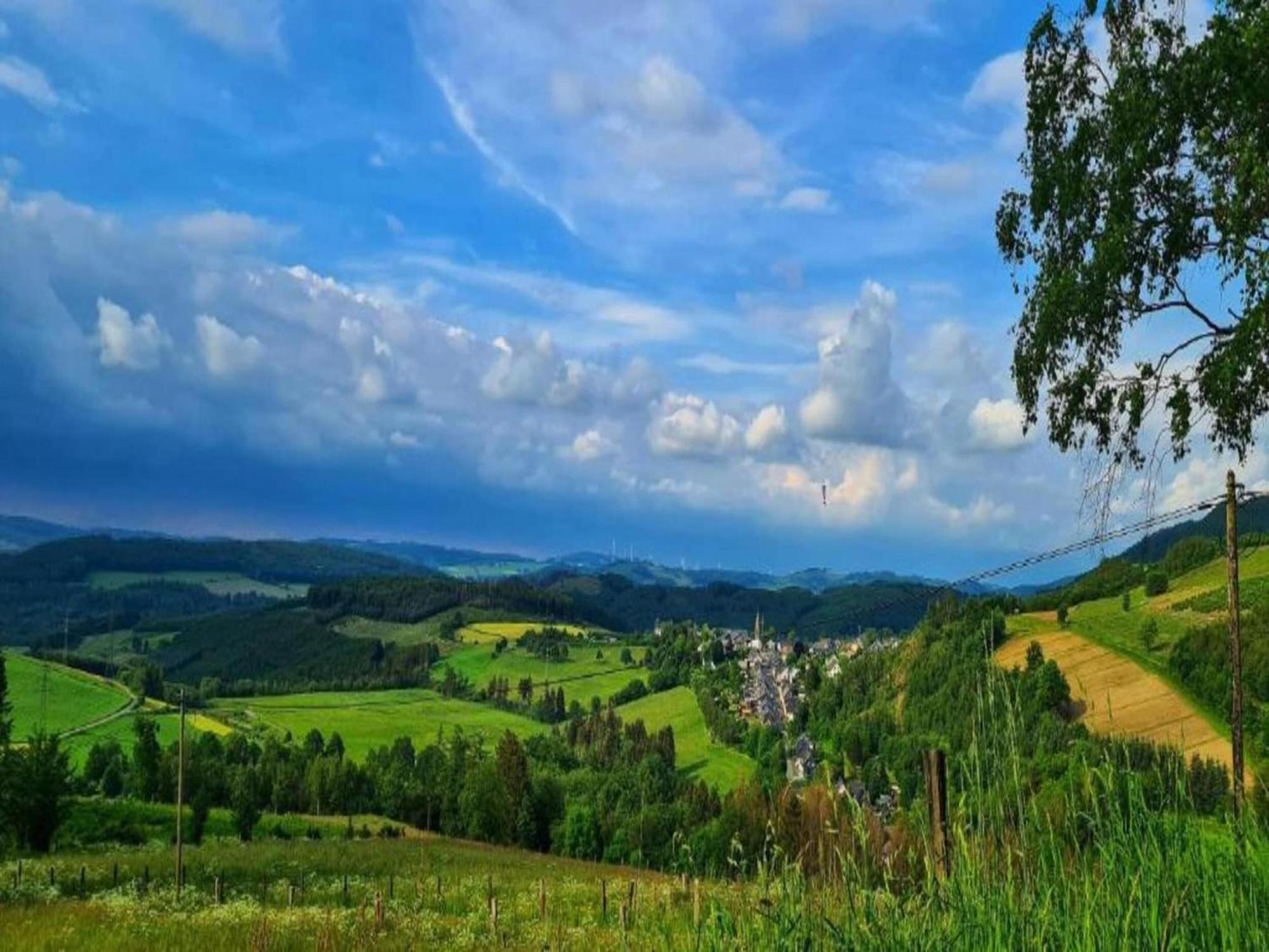 Holiday Home In Bestwig With Private Garden Екстериор снимка